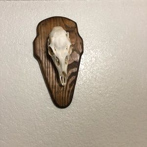 Meet your Posher, Kyle